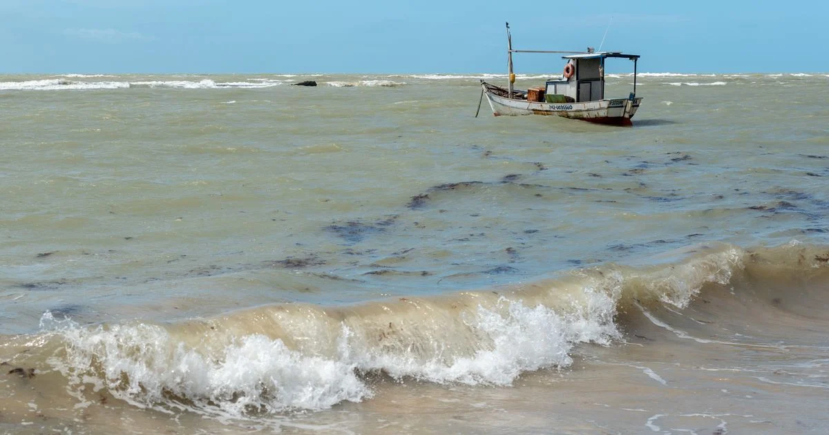 Panduan Praktis Cara Memahami Arus Laut untuk Mahasiswa Nautika